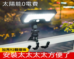 八爪魚庭院燈