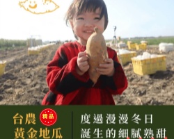 黃金地瓜乾